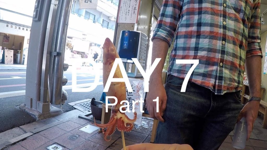 Nishiki Market, Kyoto - Japan Day 7 Part 1