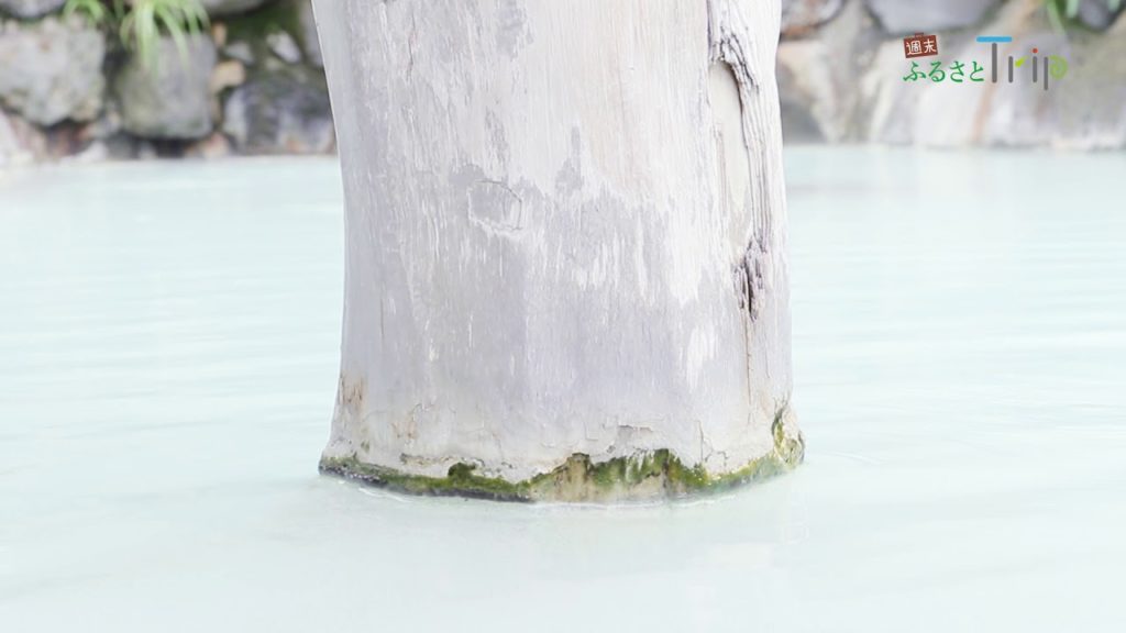 JAL 週末ふるさとTrip 秋田 乳頭温泉郷　秘湯 鶴の湯 温泉