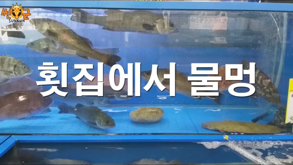 횟집에서 귀여운 해수어 바다물고기를 물멍