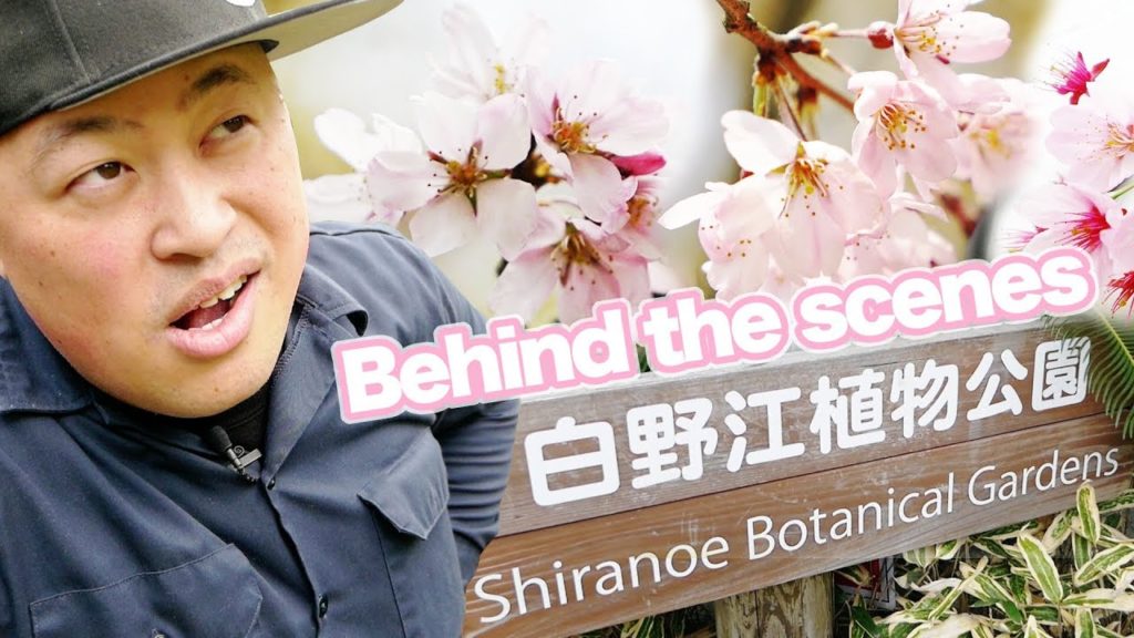 Shiranoe Botanical Gardens Kitakyushu - Behind the scenes