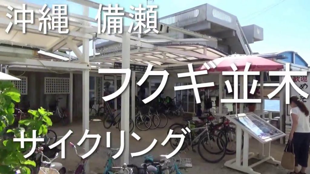 【沖縄旅行】備瀬フクギ並木サイクリング🚴😊
