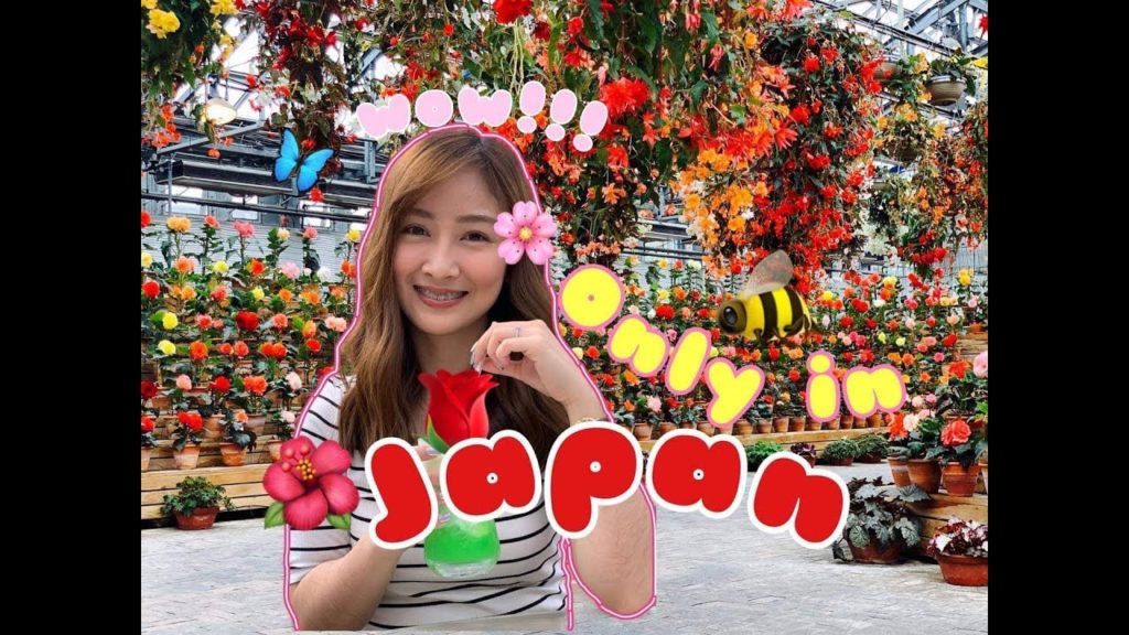 SECRET GARDEN IN THE BEST TUNNEL OF LIGHTS IN JAPAN( NABANA NO SATO-VLOG#9 )