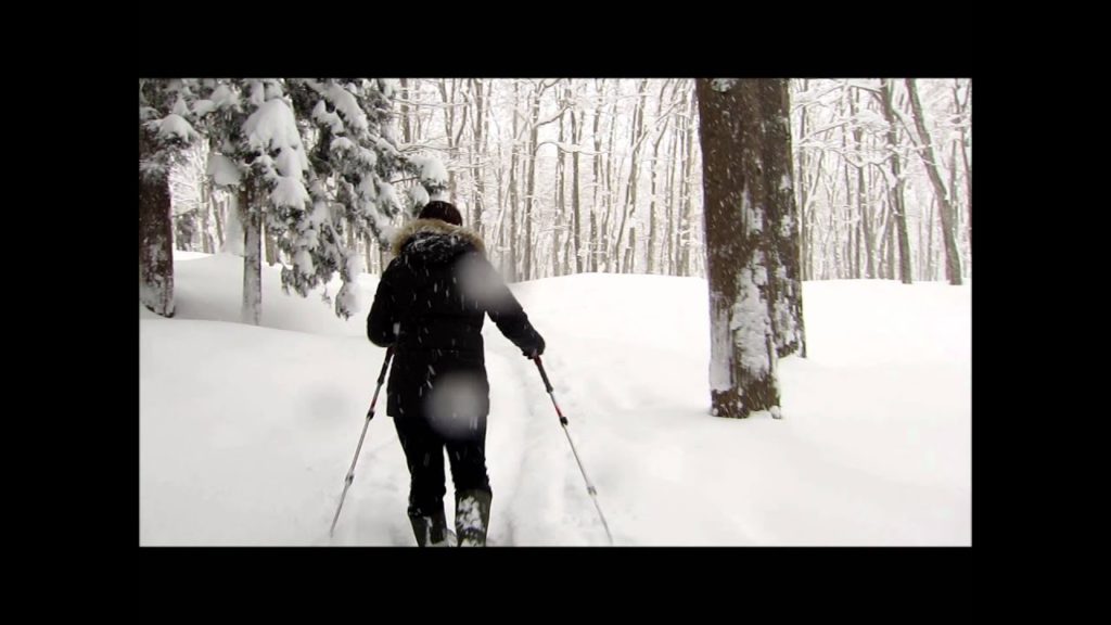 Snowshoeing in NIIGATA Japan.  ( Bijin bayashi )