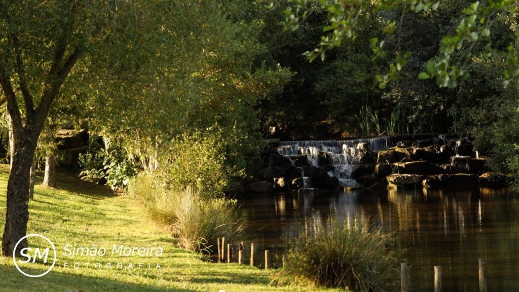 Canon EOS RP 4K Video Test #2 | Documentary Film