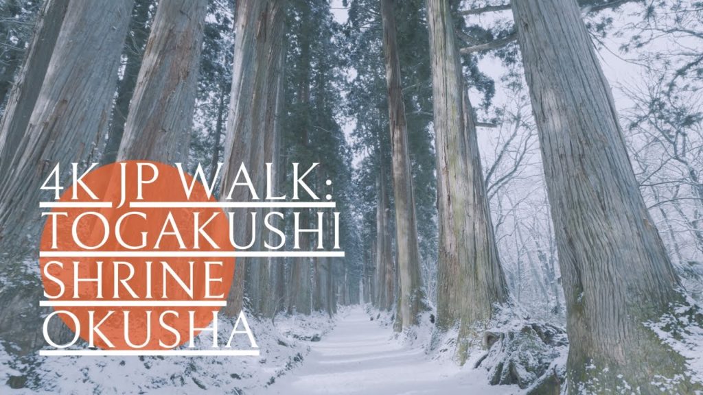 【4K walk】長野 戸隠神社 奥社への雪道散歩 【4K walk】長野 戸隠神社 奥社への雪道散歩