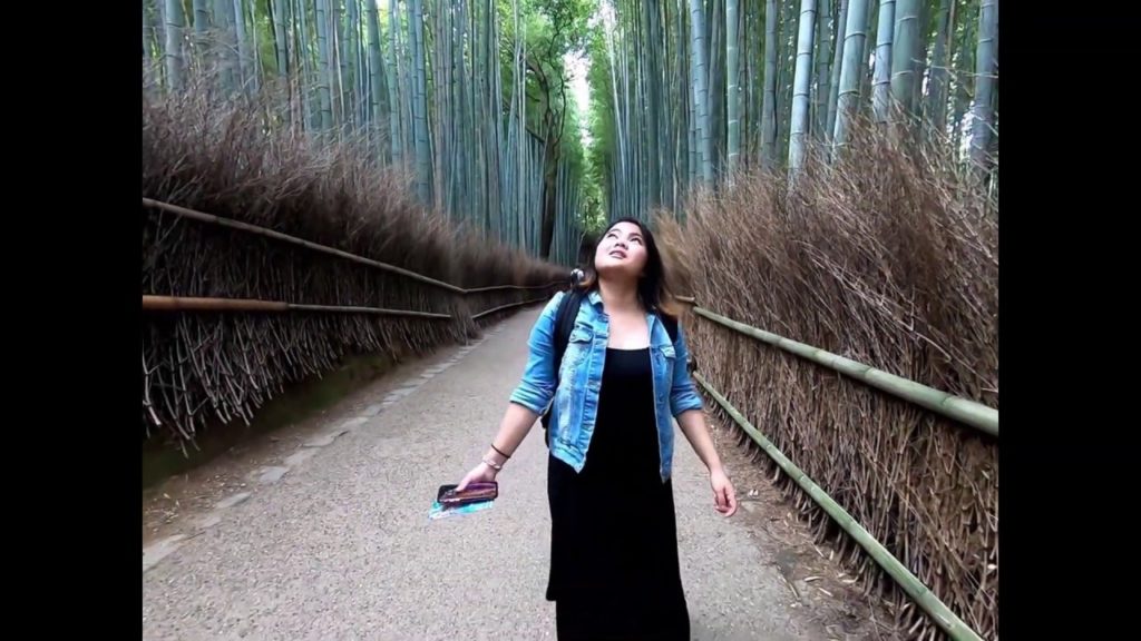 3 Days in Kyoto, Japan