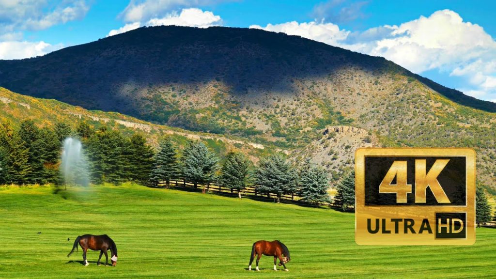 2019 Best of TriumphRainbow 4K UHD