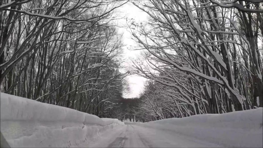 Drive in Aomori :  Oirase to Hakkoda ropeway