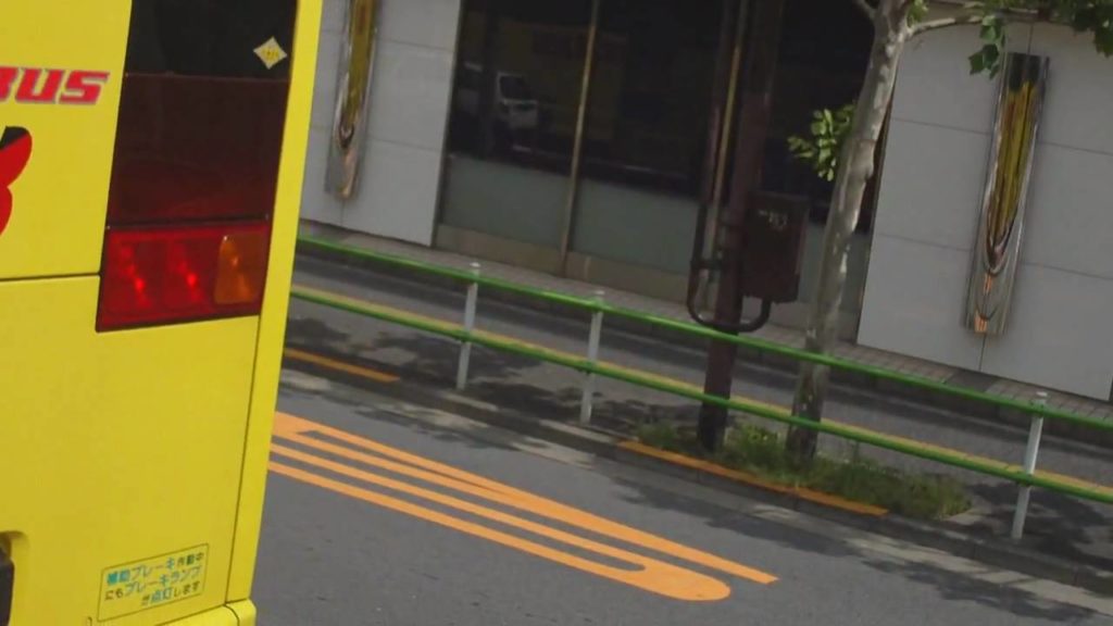 Hato Bus Tour -- Dynamic Tokyo