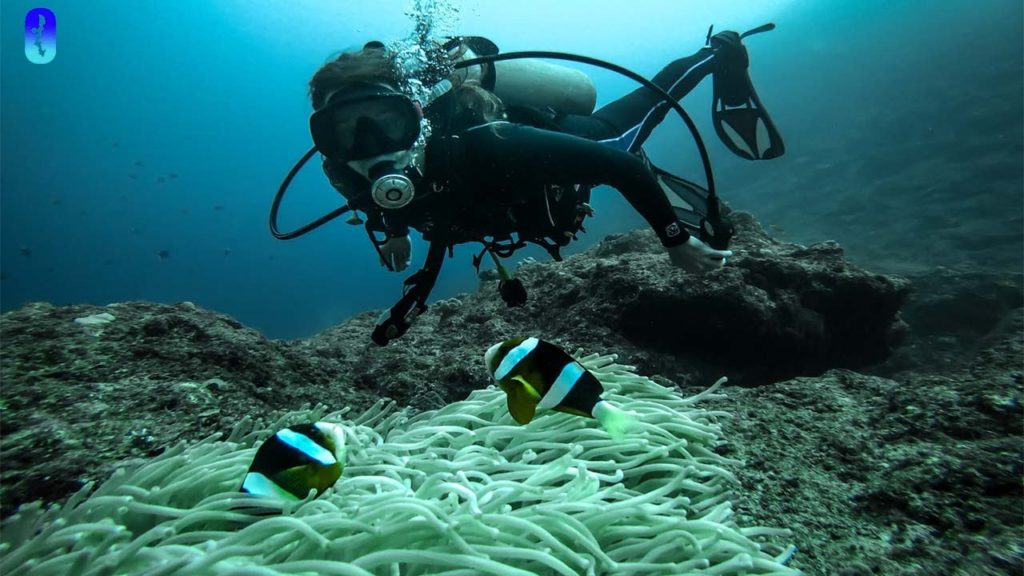 Diving Deep at Cape Zanpa in Okinawa