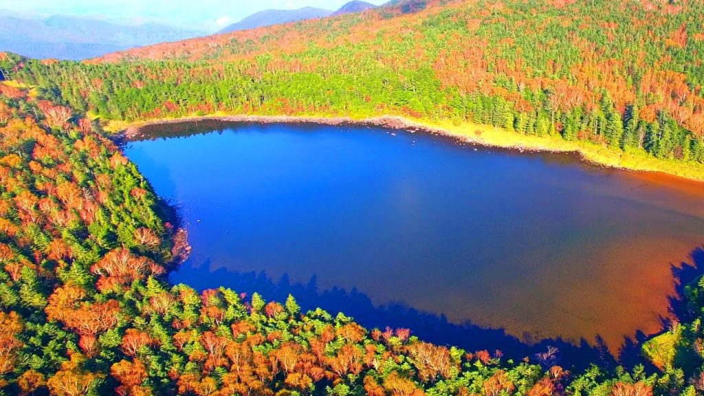 Drone Japan 4k ドローン 空撮自然風景映像 紅葉 秋の北八ヶ岳 池巡りⅡ 雨池峠～坪庭～七ツ池 ～雨池 空中遊覧 Autumn of  Yatsugatake Pond Tour 2