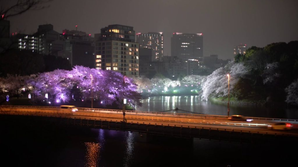TOKYO NIGHT FOUR SEASONS　東京夜景_春夏秋冬