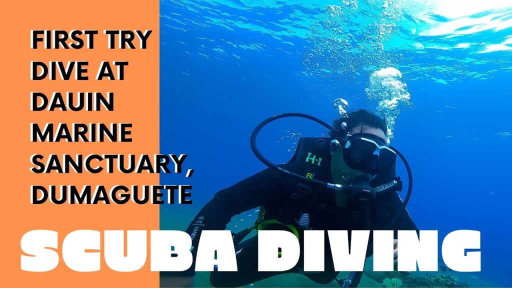 SCUBA DIVING AT DAUIN MARINE SANCTUARY, DUMAGUETE, PHILIPPINES ( Scuba Diving Journey PART 1 ) SCUBA DIVING AT DAUIN MARINE SANCTUARY, DUMAGUETE, PHILIPPINES ( Scuba Diving Journey PART 1 )