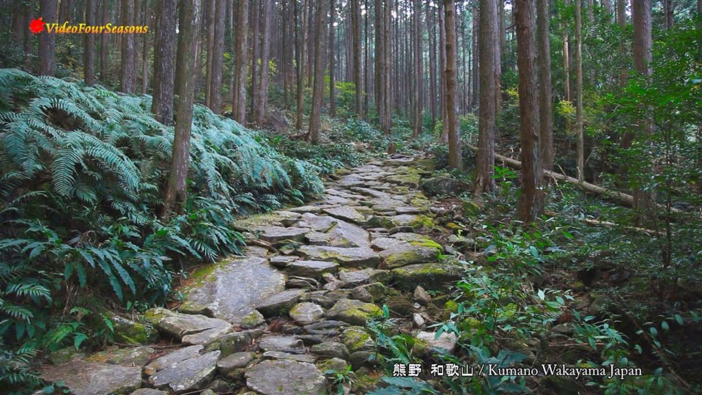 熊野古道と那智大社 Kumano Wakayama Japan 【HD】美しい日本の風景 The Beautiful Scenery of Japan 熊野古道と那智大社 Kumano Wakayama Japan 【HD】美しい日本の風景 The Beautiful Scenery of Japan