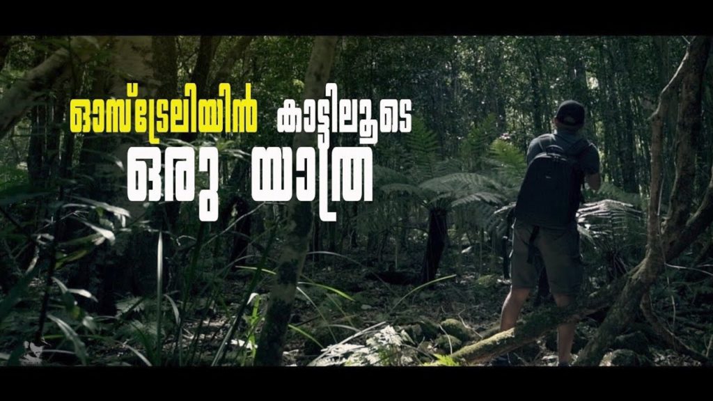 Wild life Photography trip to Illawarra, a cinematic travel video || Australia