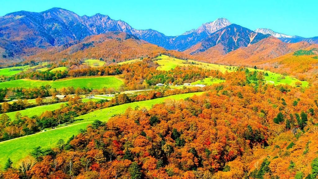 Drone Japan 4k 絶景ドローン 空撮自然風景映像 紅葉の八ヶ岳山麓 清里高原 清泉寮 まきば公園 八ヶ岳牧場 空中散歩 Autumn leaves Kiyosato Drone Japan 4k 絶景ドローン 空撮自然風景映像 紅葉の八ヶ岳山麓 清里高原 清泉寮 まきば公園 八ヶ岳牧場 空中散歩 Autumn leaves Kiyosato