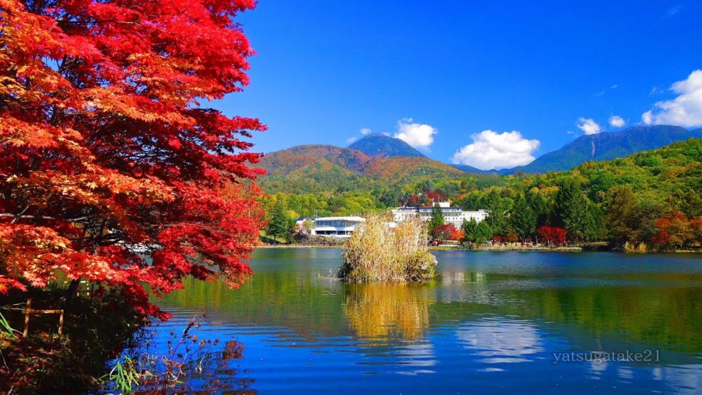 蓼科の秋 紅葉 Autumn in Tateshina 2/2 蓼科湖 蓼科高原 原生林 大滝 Downconvert 4k shot video by 2k  絶景自然風景映像