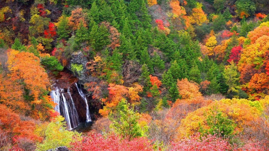 蓼科の秋 紅葉 Autumn in Tateshina 1/2 白樺湖 御射鹿池 横谷渓谷 王滝 Downconvert 4k shot video by 2k 絶景自然風景映像 蓼科の秋 紅葉 Autumn in Tateshina 1/2 白樺湖 御射鹿池 横谷渓谷 王滝 Downconvert 4k shot video by 2k 絶景自然風景映像