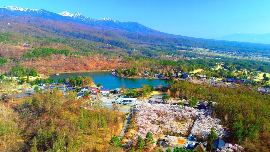 Drone Japan 4k ドローン 空撮自然風景映像 桜咲く蓼科高原 空中散歩 DJI PHANTOM4PRO Tateshina plateau aerial Cruise