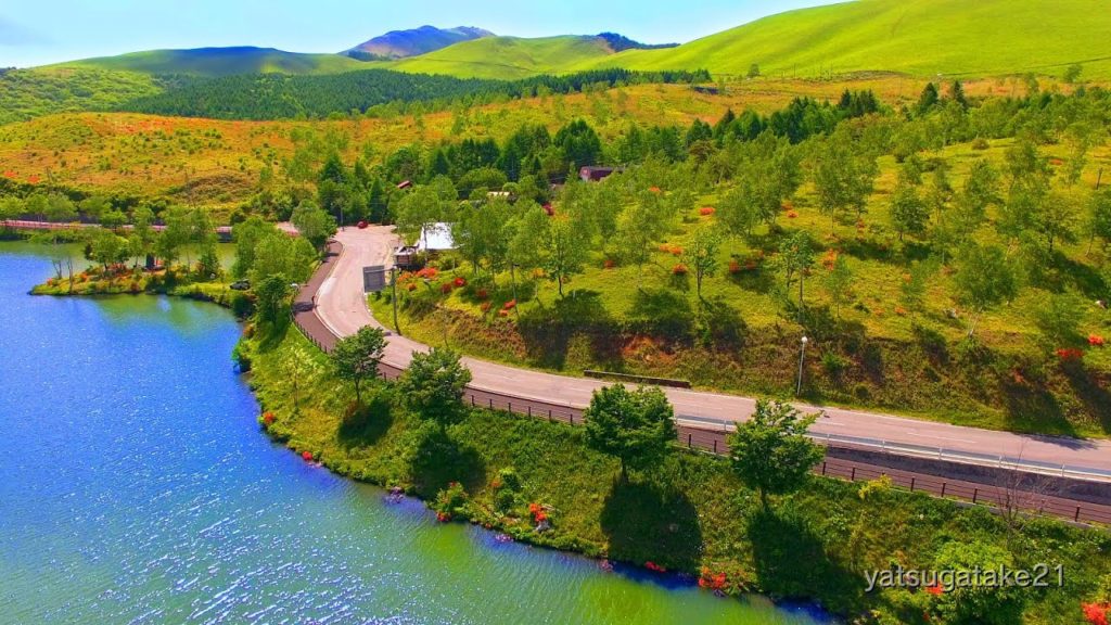 Drone Japan 4k ドローン 空撮自然風景映像 白樺湖 新緑・レンゲツツジの空中周遊 Lake Shirakaba Fresh green Drone aerial Cruise