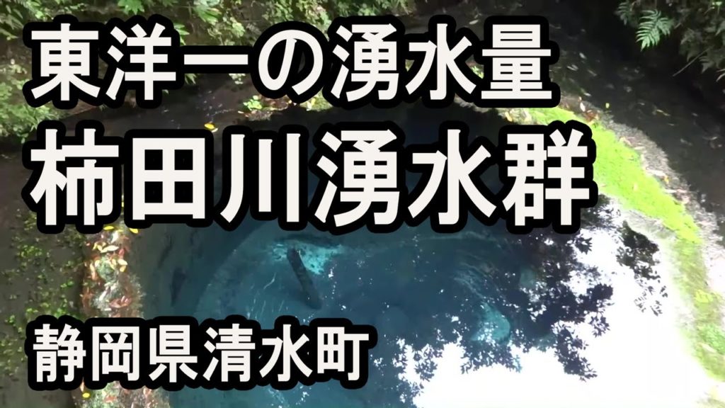 世界有数の湧水群、柿田川公園 ぶらぶら歩き　Spring water group of the world's leading, Kakita River.