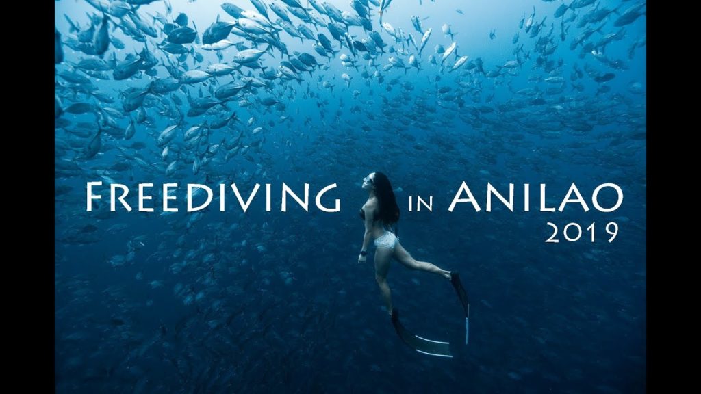 프리다이빙 인 아닐라오 [ Freediving in Anilao ]