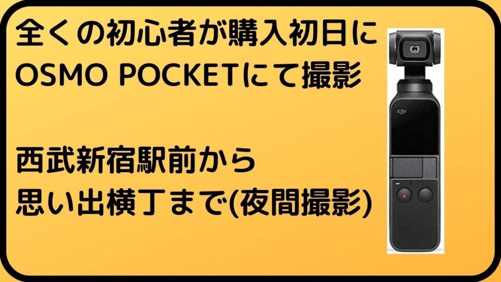 西武新宿駅前から新宿西口/思い出横丁までを夜間カメラ撮影【DJI OSMO POCKET】(SEIBU SHINJUKU,KABUKICHO,OMOIDE)