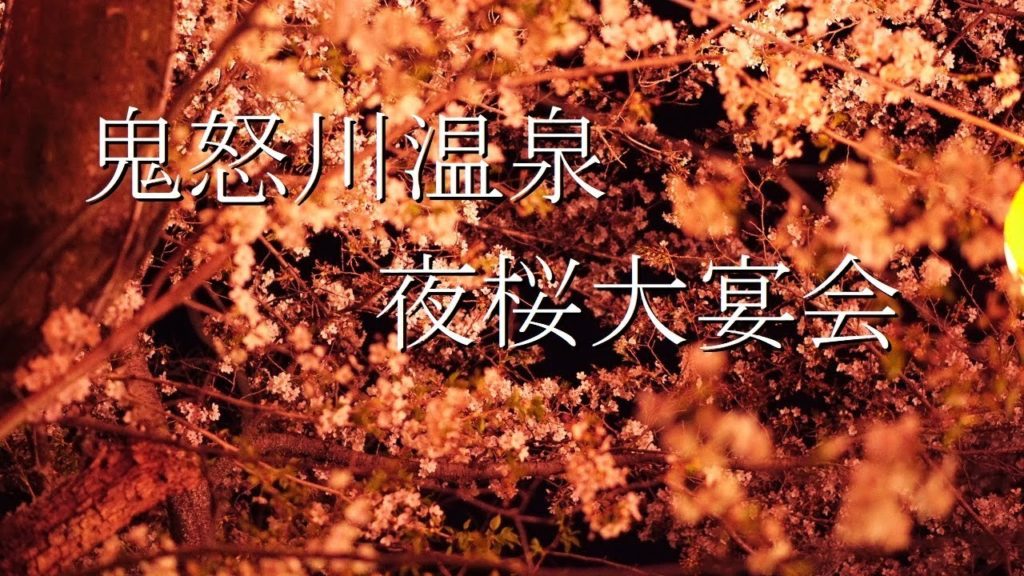 鬼怒川温泉夜桜大宴会 Cherry trees at evening