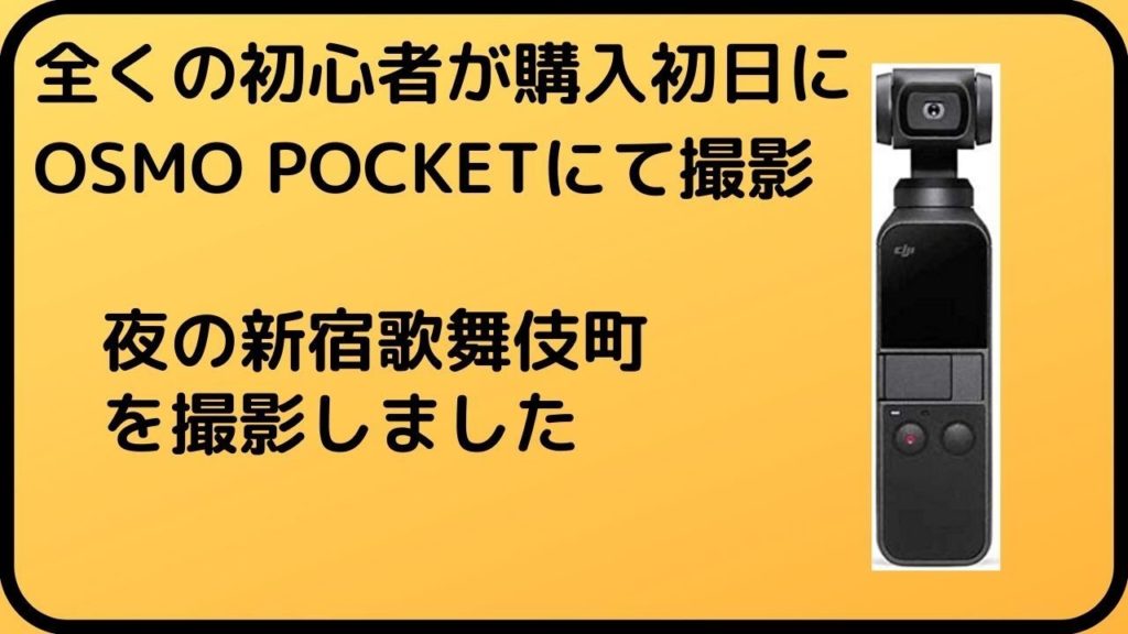 新宿歌舞伎町を夜間カメラ撮影【DJI OSMO POCKET】(ラヴホテル街、劇場通り)KABUKICHO,SHINJUKU