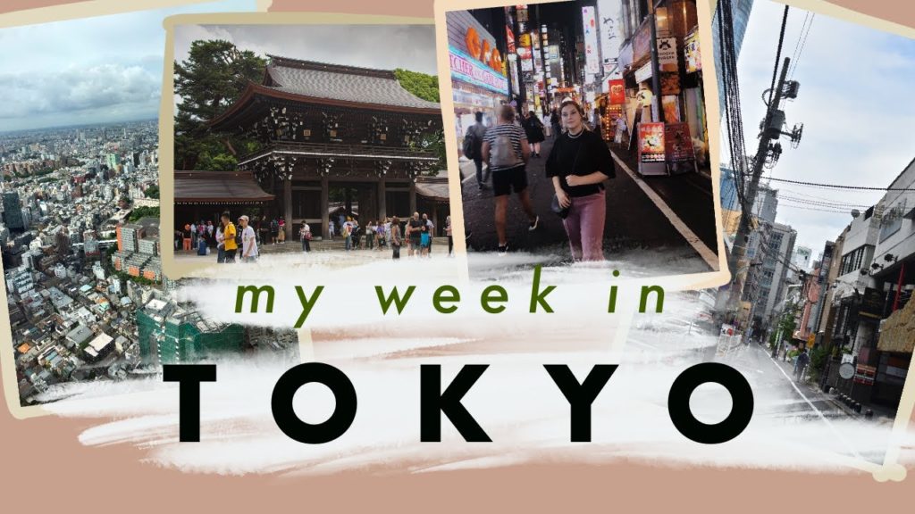 TRAVEL WITH ME to TOKYO / getting stalked by the president?