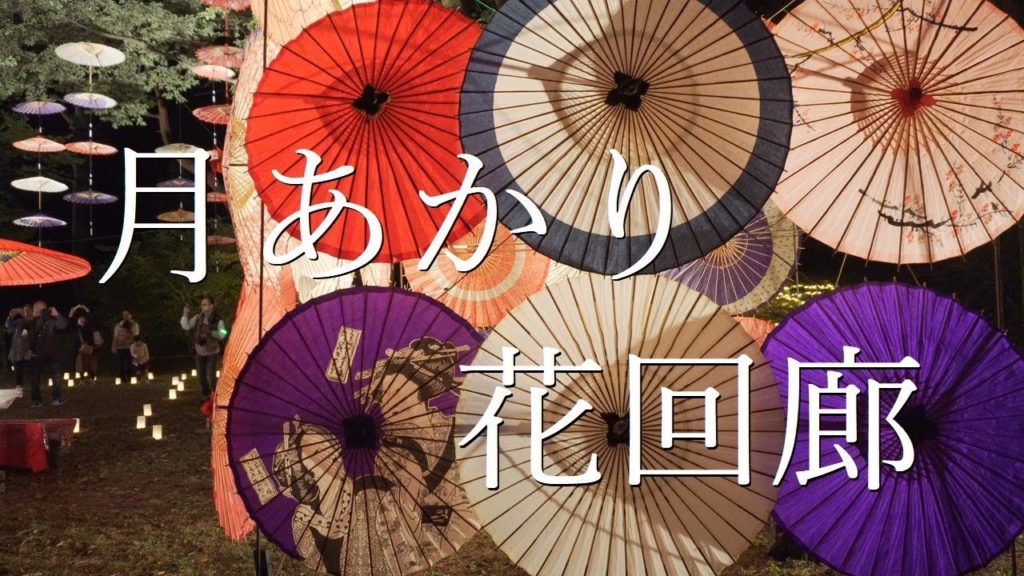 月あかり花回廊  鬼怒川温泉　moonlight flower cloister