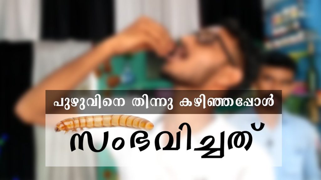 പുഴുവിനെ കഴിച്ചപ്പോൾ ഉണ്ടായത് ! | Worm Food In Calicut | Kerala Street Food | Puzhu Eating In Kerala പുഴുവിനെ കഴിച്ചപ്പോൾ ഉണ്ടായത് ! | Worm Food In Calicut | Kerala Street Food | Puzhu Eating In Kerala
