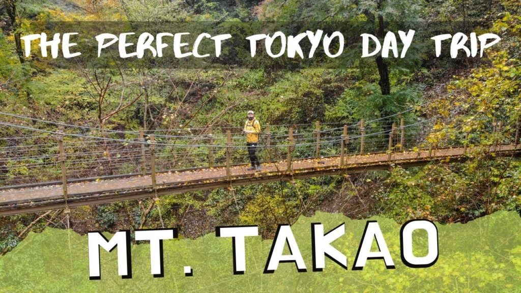 MT. TAKAO 高尾山 - the perfect Tokyo day trip.