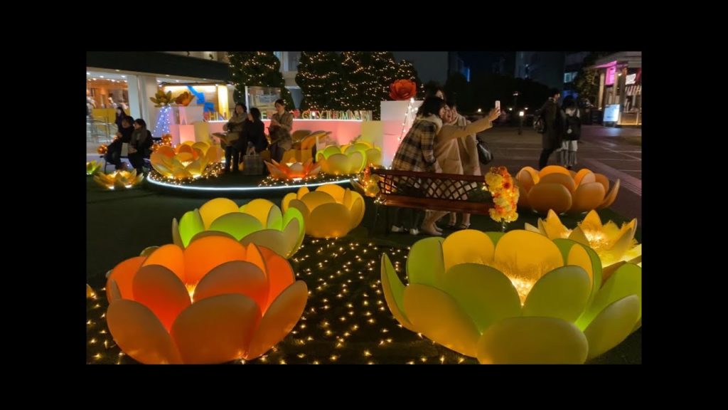 Tokyo - Japan Illumination- Night Shot by IPHONE 11Pro-Max