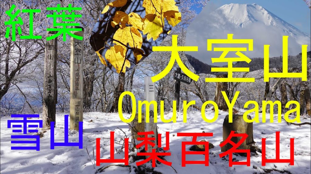 加入道山～大室山 Ganyudoyama~OmuroYama GPS地図付 登山 2019/11 [4K]