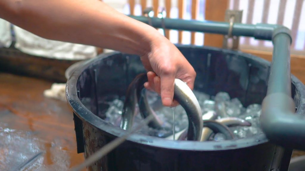 活ウナギのさばき方　巨大だし巻き卵　名物きんし丼　京極かねよ　Japanese food! How to fillet fish! Grilled eel in Kyoto Japan!