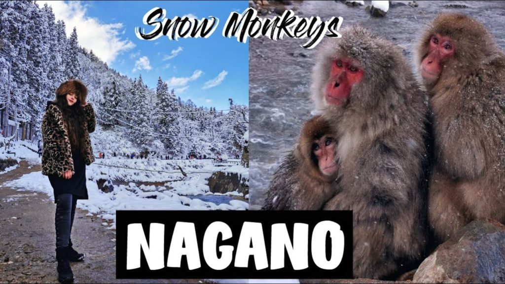 NAGANO: CONOCÍ LA NIEVE, VISITÉ LOS SNOW MONKEYS Y EL MUSEO HOKUSAI