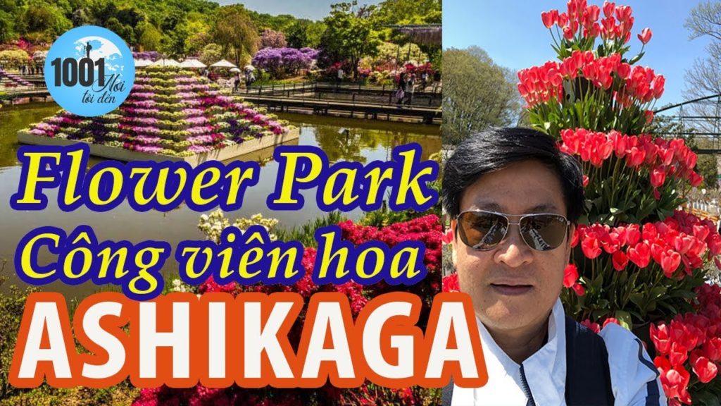Du lịch Nhật Bản | Ashikaga Flower Park | Công viên hoa Ashikaga đẹp nhất Nhật Bản