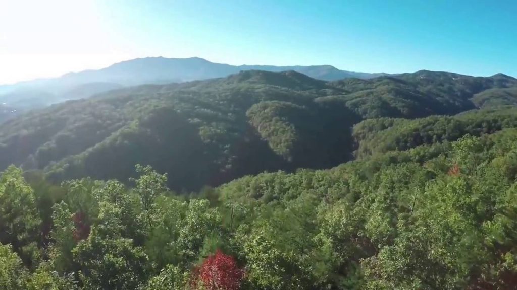 Explore the Great Smoky Mountains on Your Pigeon Forge Vacation