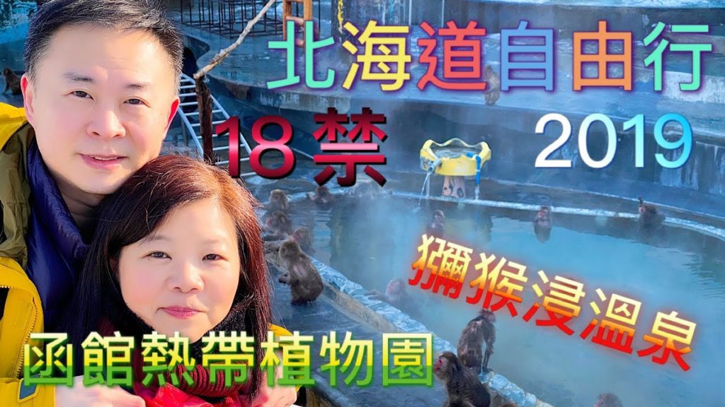 日本北海道自由行8天2019 | 冬季限定-獼猴浸溫泉ニホンザル 函館熱帶植物園MV | Superfly - Ambitious