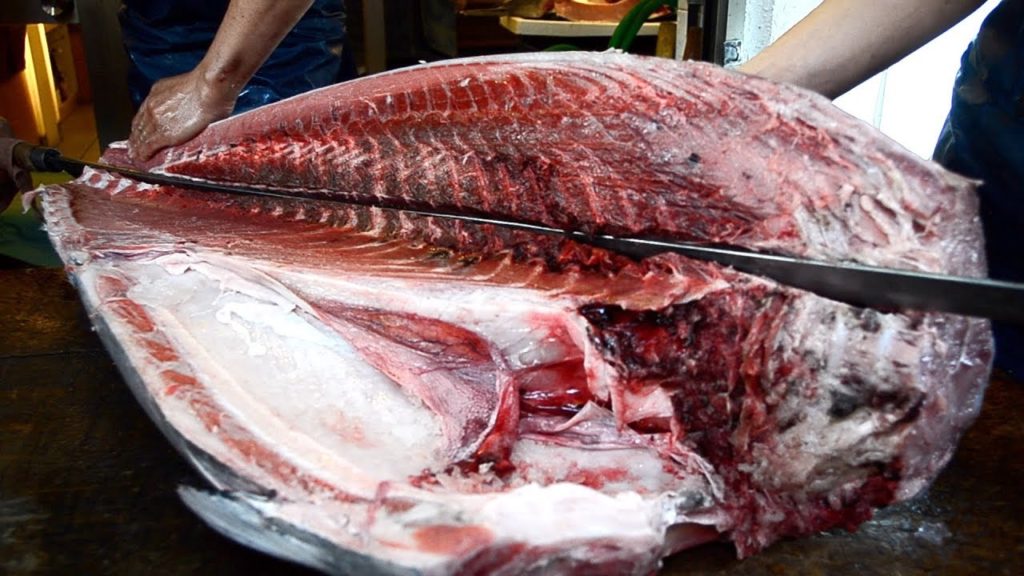 Japanese Food - GIANT BLUEFIN TUNA CUTTING SHOW  Tokyo Compilation