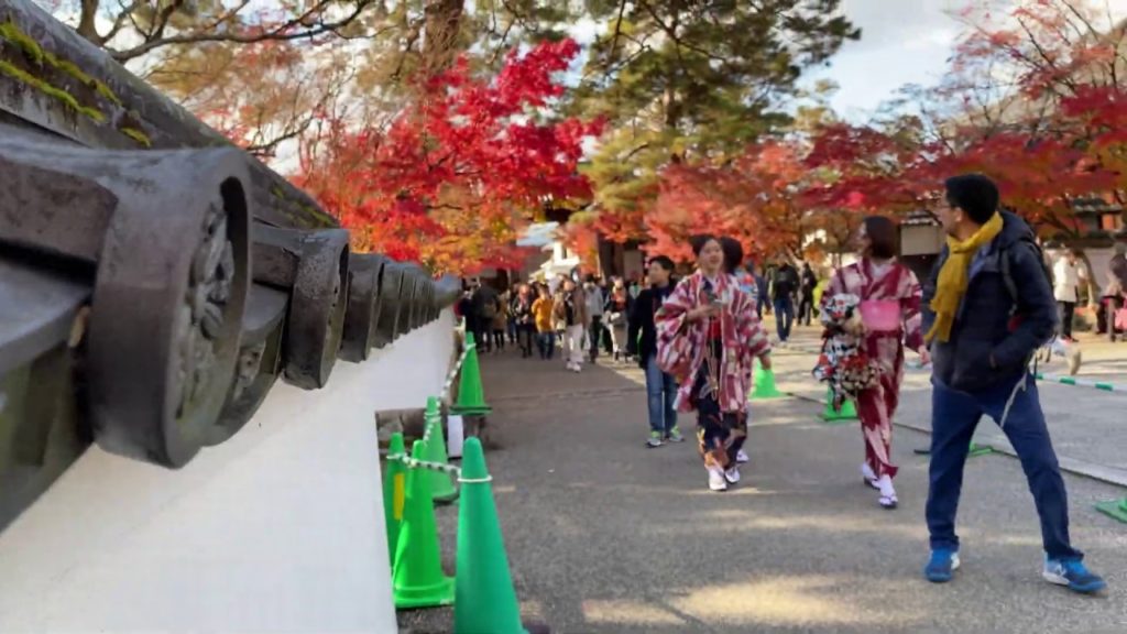 Beautiful Breathtaking Colors of Autumn Japan Nature Relax Tour Kyoto Park Stunning 4K60