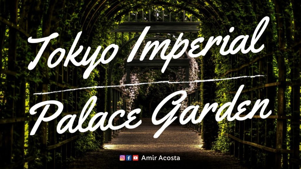 What's inside Tokyo's Imperial Palace gardens yet? | Tokyo Main Station