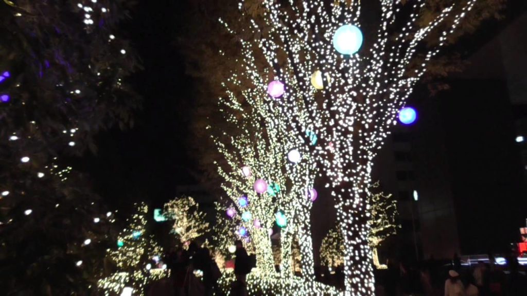 Japan Travel-Shinjuku-Illumination 2014 新宿イルミネーション２０１４