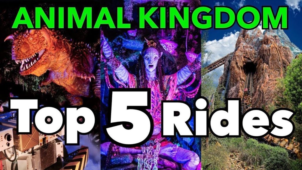 Top 5 Animal Kingdom Rides – 2020 Top 5 Animal Kingdom Rides - 2020
