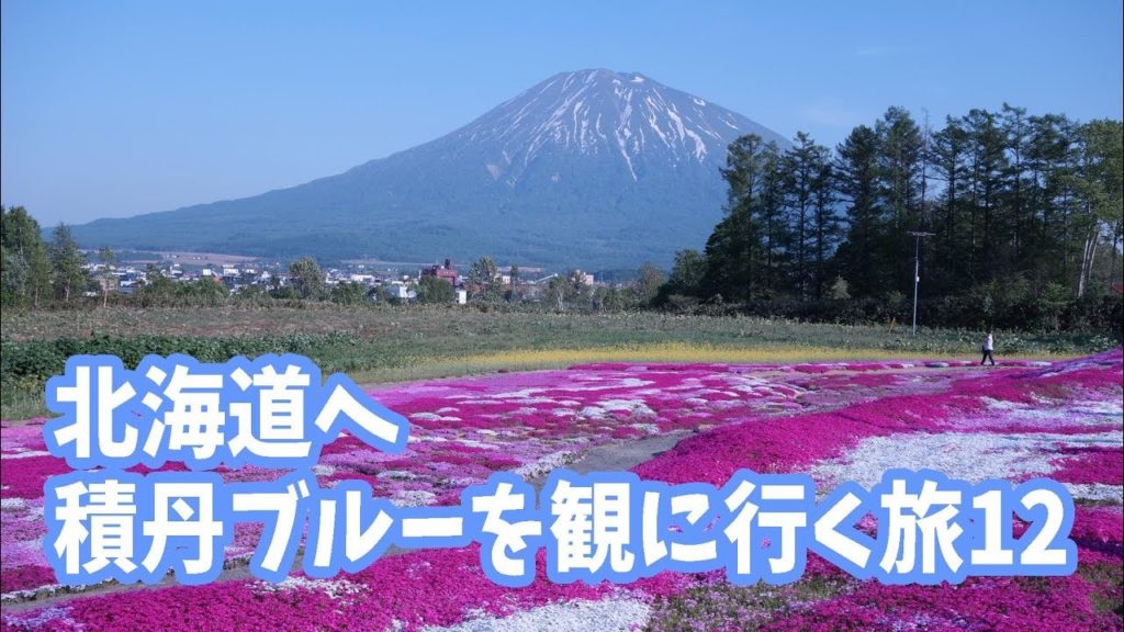 北海道旅行記 積丹ブルーが観たかった12(倶知安町三島さんちの芝桜~ヒルトンニセコビレッジ) 北海道旅行記 積丹ブルーが観たかった12(倶知安町三島さんちの芝桜~ヒルトンニセコビレッジ)