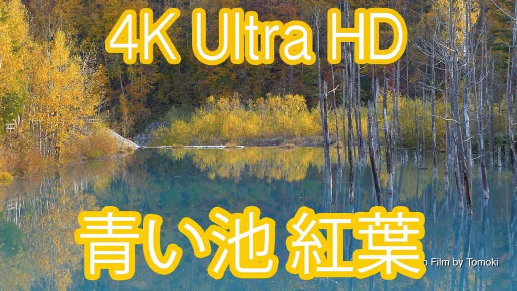 青い池の紅葉 4K Ultra HD/Blue Pond Autumn/秋