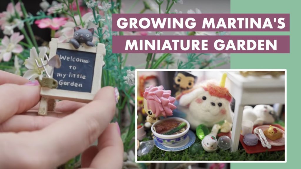 Growing Martina's Miniature Garden