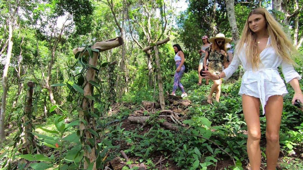 Experience New Caledonia