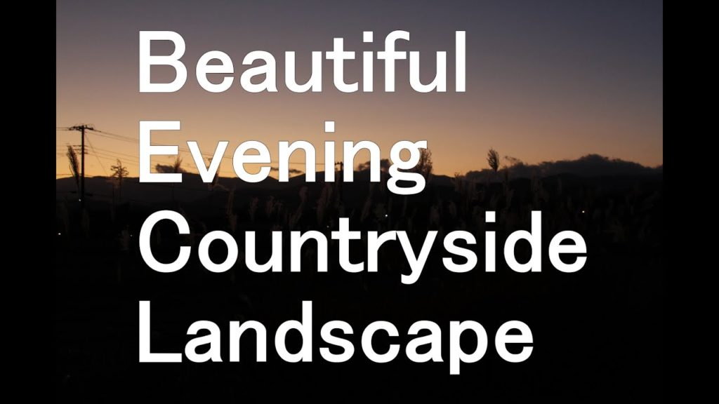 Twilight scenery / Beautiful countryside landscape